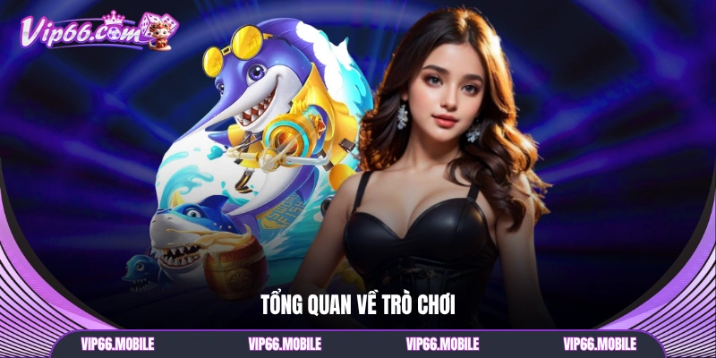 Tổng quan về trò chơi
