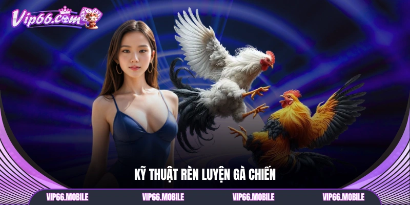 Kỹ thuật rèn luyện gà chiến